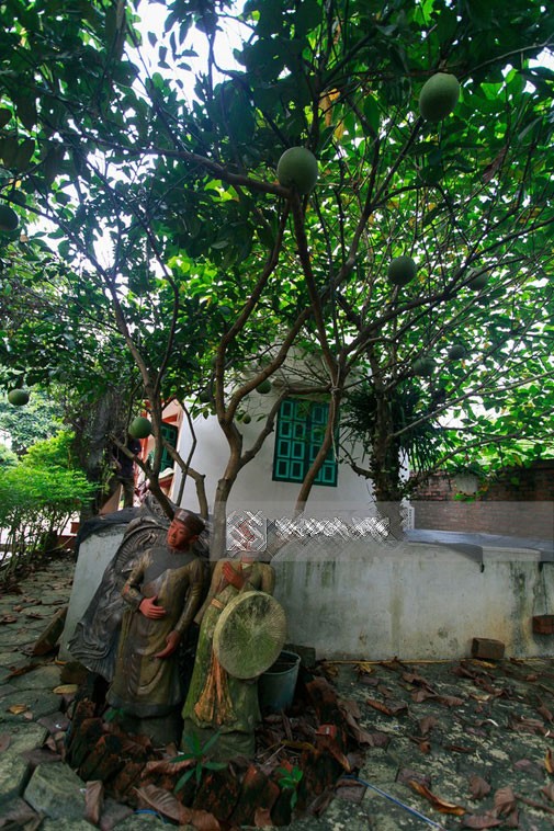 Diem giong nhau bat ngo cua Quang Teo va Giang Coi-Hinh-16